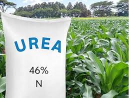 UREA