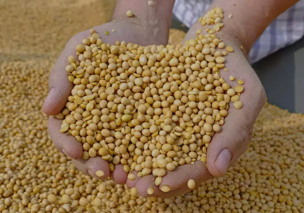 Agro commodities