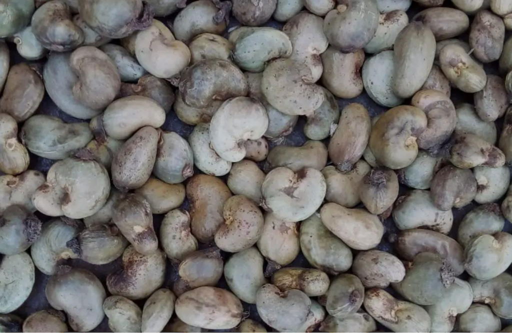 Raw Cashews